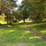 【写真撮影テク：第０回】手持ちのiPhoneで近所の景色を撮影しました