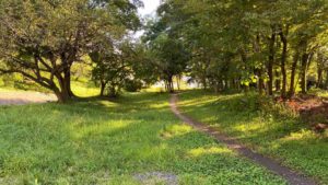 【写真撮影テク：第０回】手持ちのiPhoneで近所の景色を撮影しました