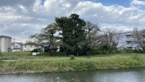 【写真撮影テク：第１回】フレーミング・カメラアングルを意識しました