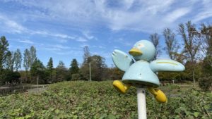 【写真撮影テク：第２回】フレーミング・構図の理解を深める ＠公園