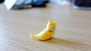 【写真撮影テク：第３回】近況報告の回